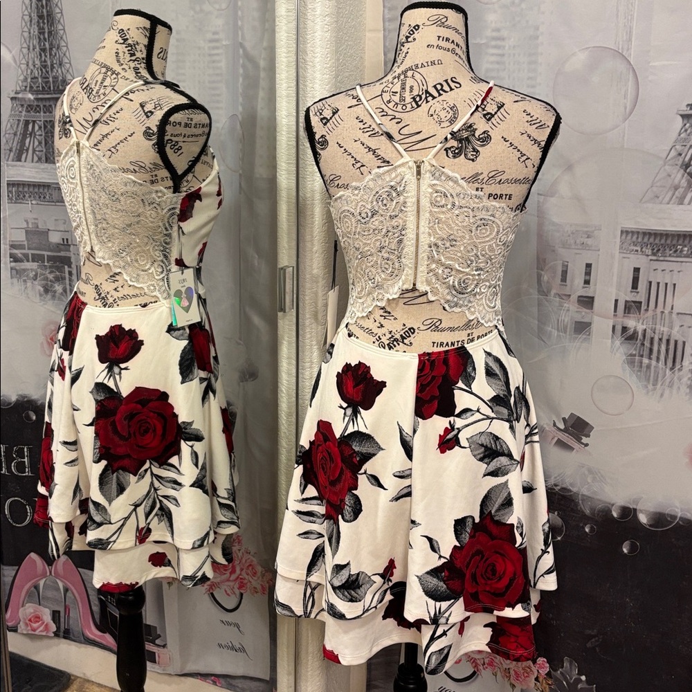 NWT Iris Red and White Rose Fit and Flare Mini Dress - Picture 4 of 9
